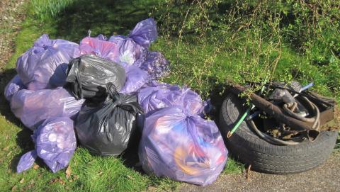 Some of the litter and rubbish collected