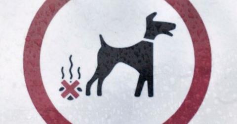 Dog fouling