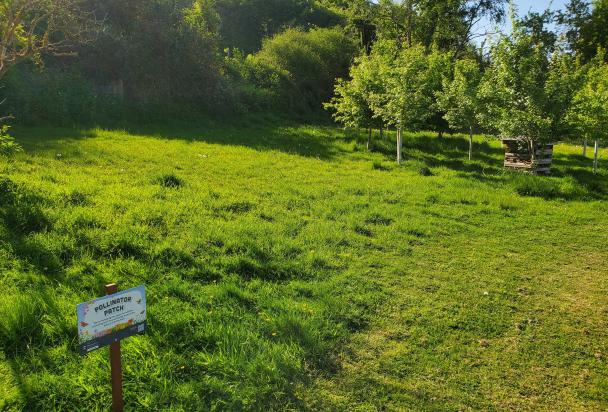 pollinator sign on Rec