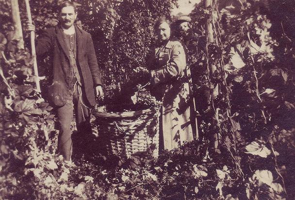 Weston hop-pickers