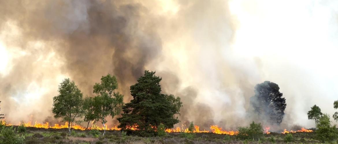 fires  2026
