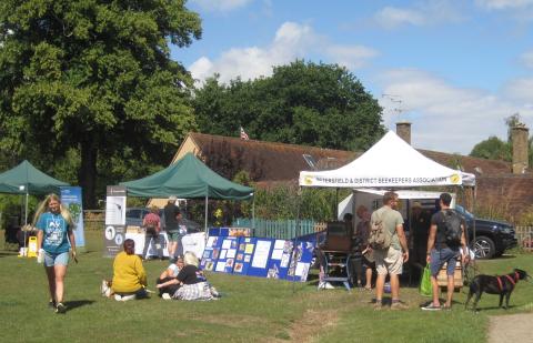 Village Show