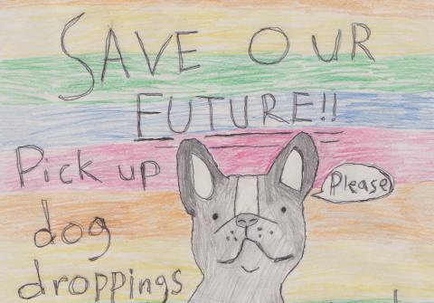 Dog  poo poster
