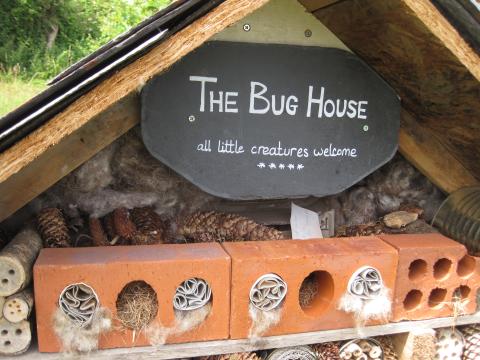 Bug House