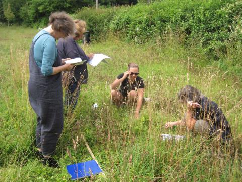 Rec Ground Survey 2023