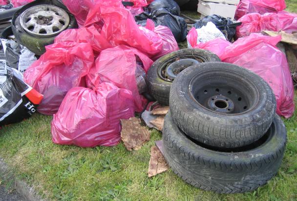 Litter Picking Morning