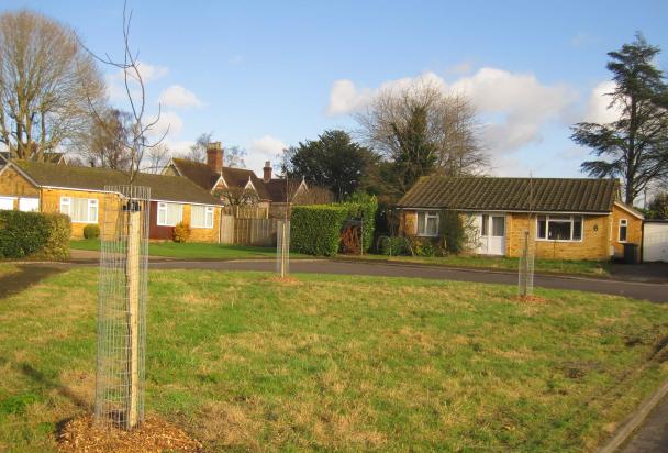 Heatherfield Trees