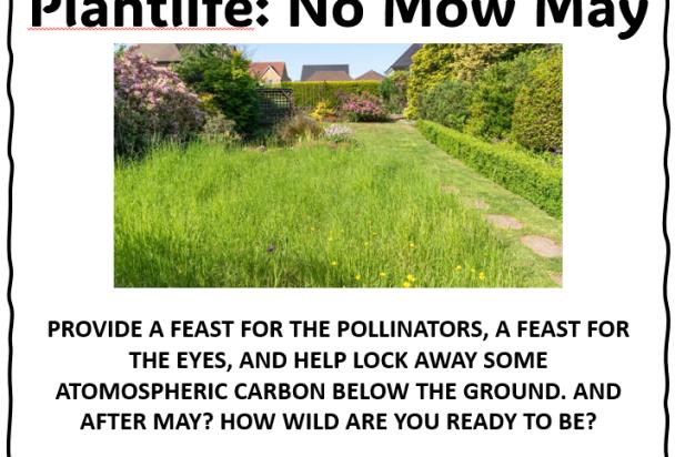 No Mow May
